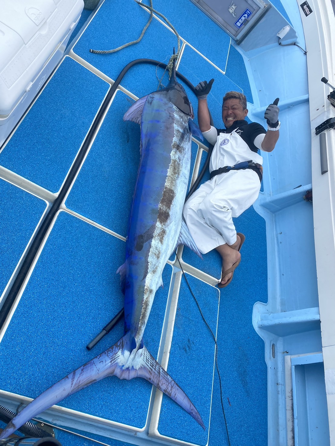 しげちゃんこと岩井茂樹画像